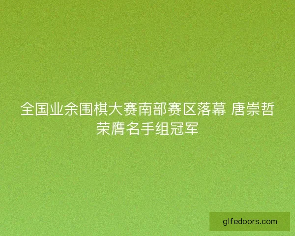 全国业余围棋大赛南部赛区落幕 唐崇哲荣膺名手组冠军