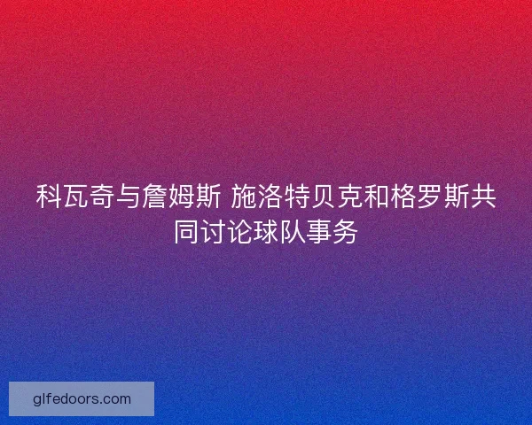 科瓦奇与詹姆斯 施洛特贝克和格罗斯共同讨论球队事务